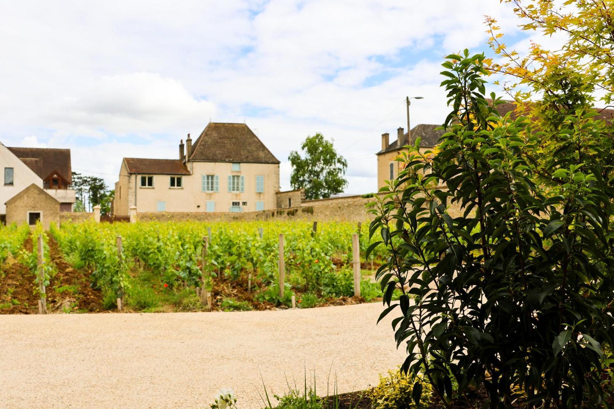 Hotel Particulier Adult Only Les Reveries Du Clos Spa Degustation Et Diner Sur Reservation Pommard Buitenkant foto